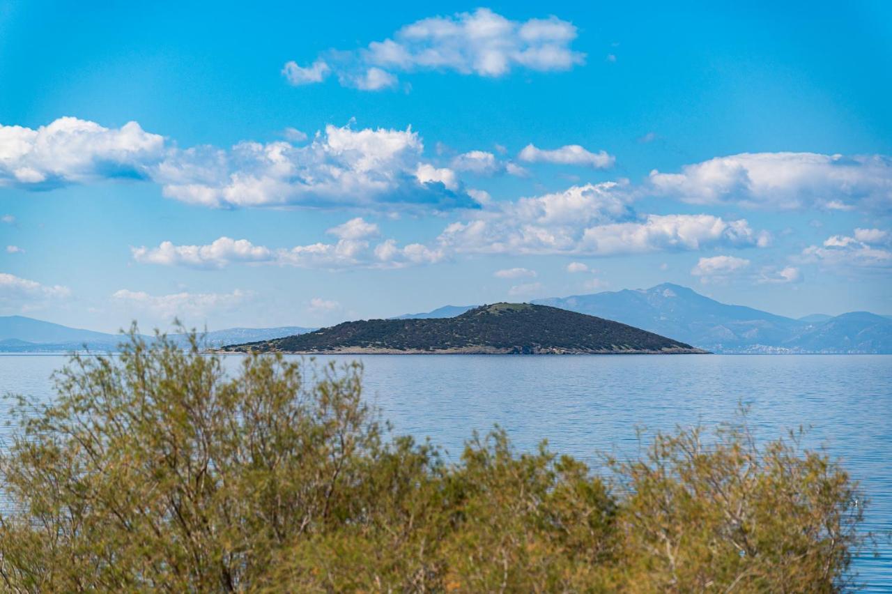 Ο Μόλος Appartement Marmari  Buitenkant foto